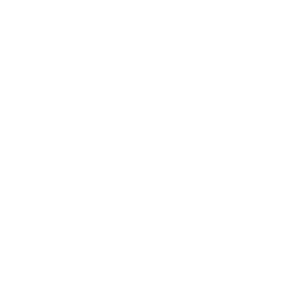 ce logo San Antonio